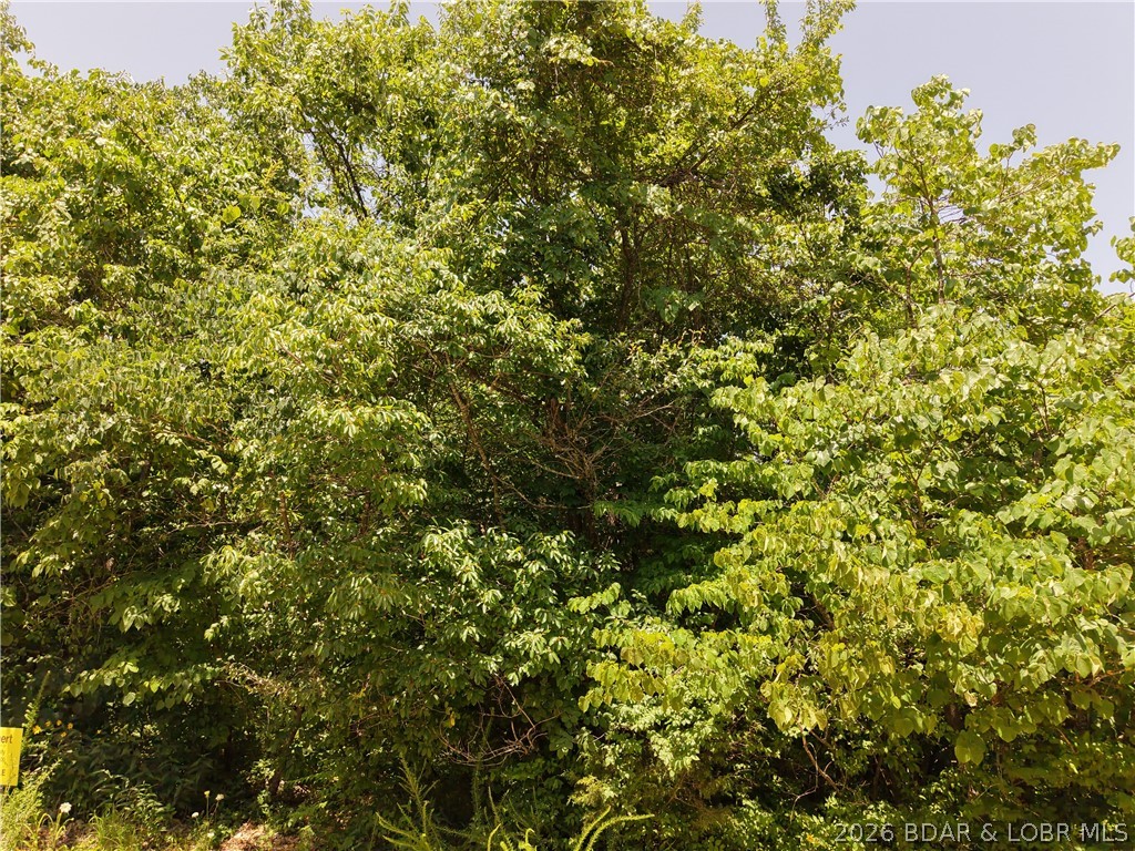 Lot 56 Hillview Road Stover, MO 65078 - Photo 5 of 5
