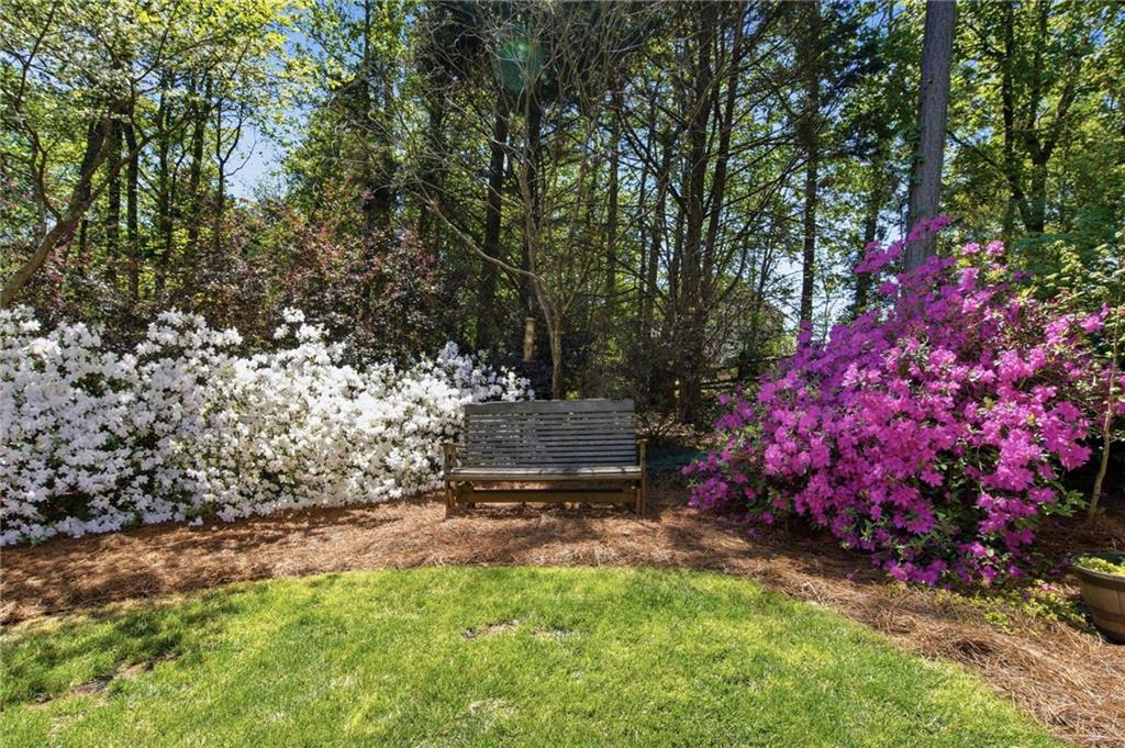 4315 Moon Shadow Trace Cumming, GA 30041 - Photo 41 of 56