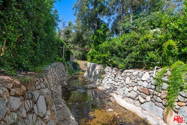 a view of plants and large trees