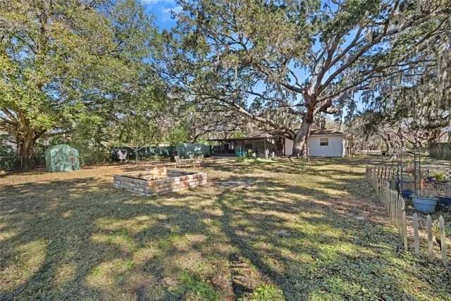 a view of a yard with plants and trees