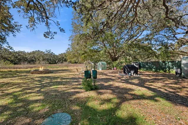 a view of a yard with plants