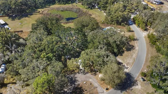 a view of a tree with a yard