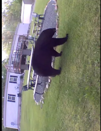 $190,000 | W10825 Woods Road, Dunbar, WI 54119