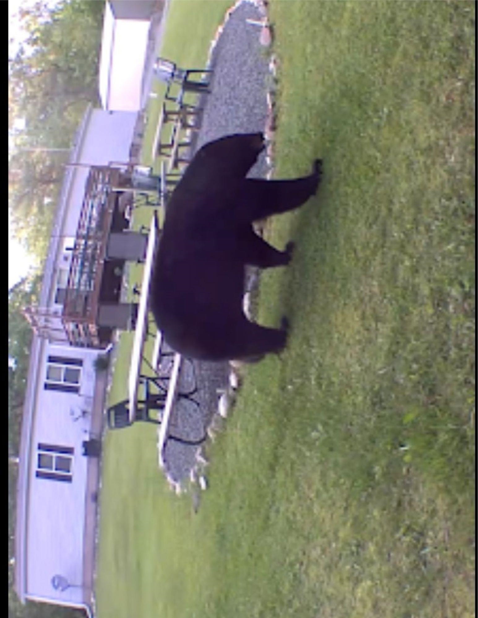 W10825 Woods Road Dunbar, WI 54119 - Photo 23 of 28