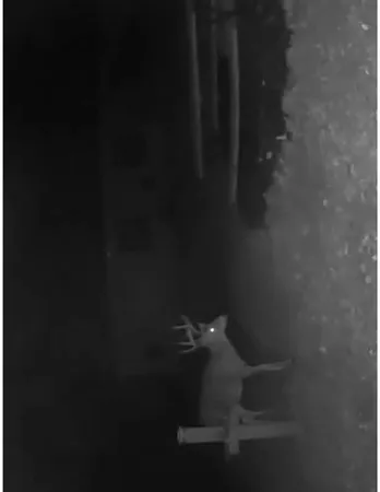 $190,000 | W10825 Woods Road, Dunbar, WI 54119