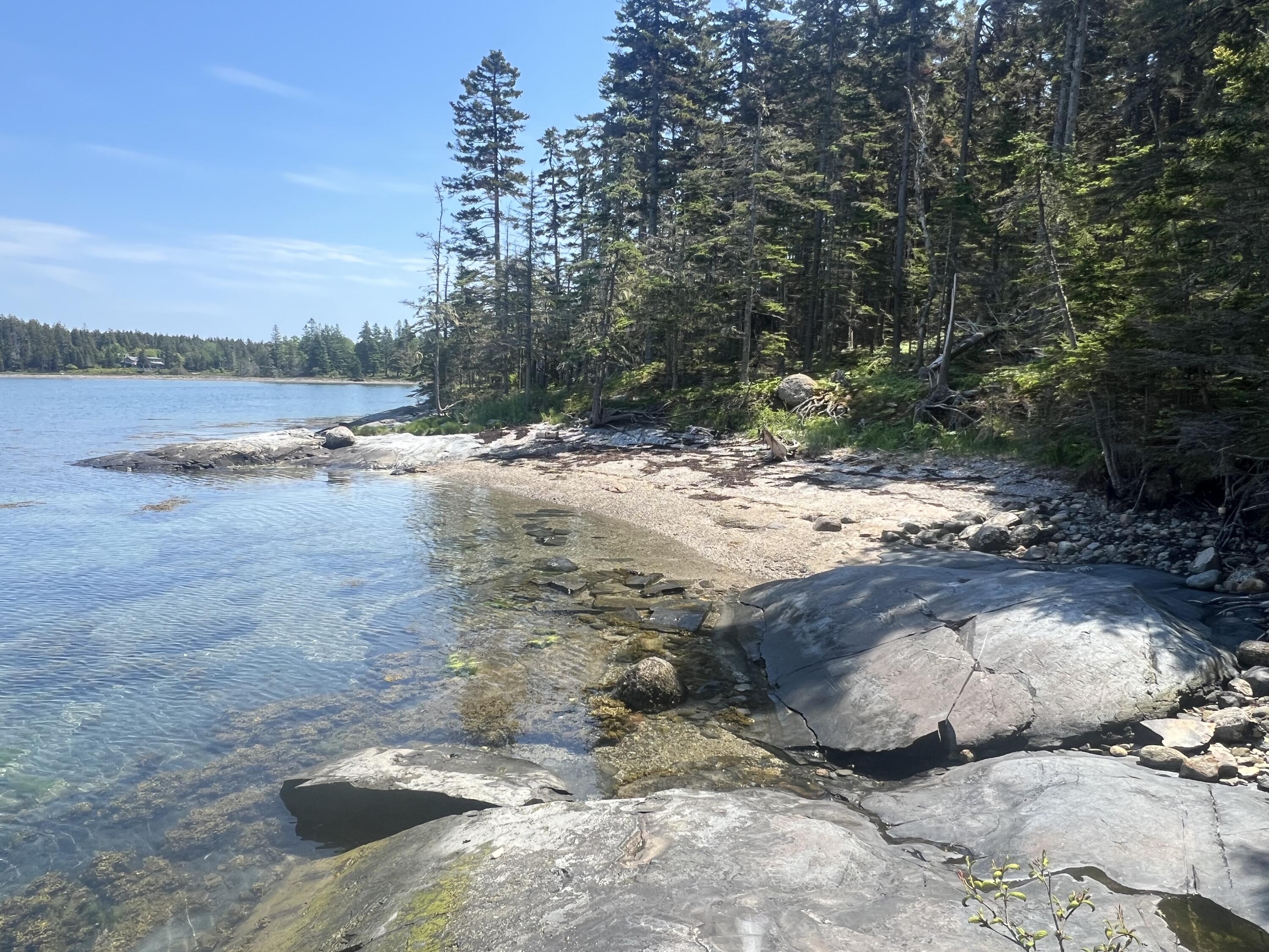 186 Lopaus Point Road Tremont, ME 04612 - Photo 18 of 31 Shoreline private beach
