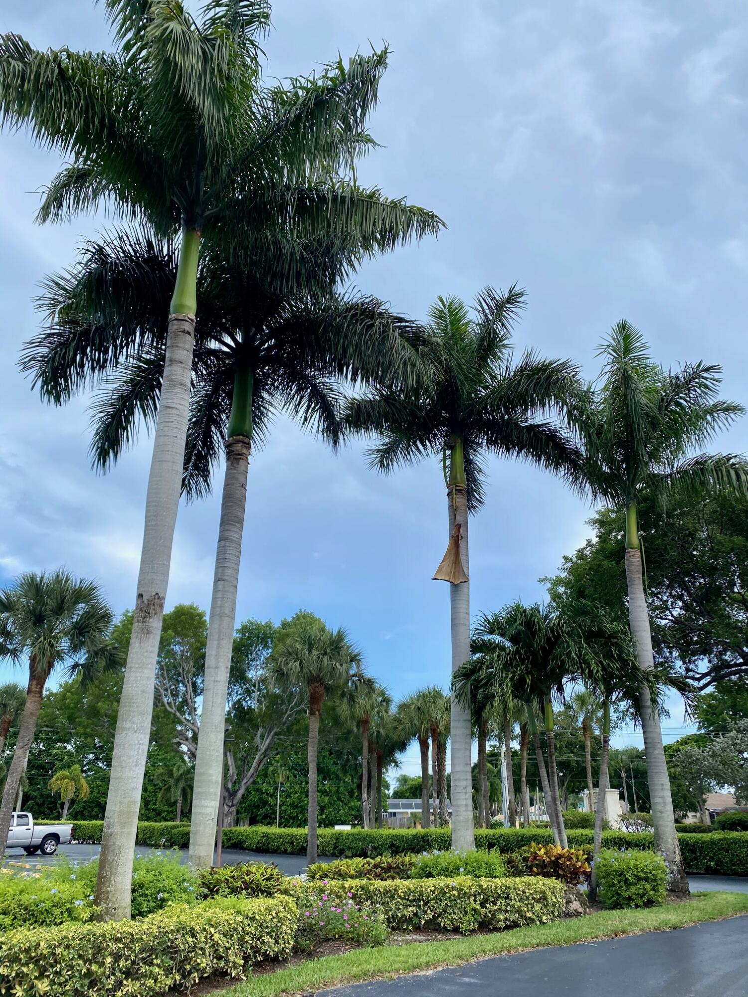 9170 Southwest 14th Street, Unit 4405 Boca Raton, FL 33428 - Photo 41 of 48 IMG_1893