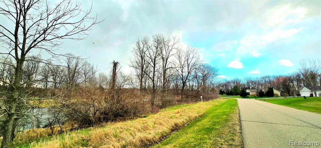 9910 Iosco Ridge Drive Gregory, MI 48137 - Photo 8 of 10