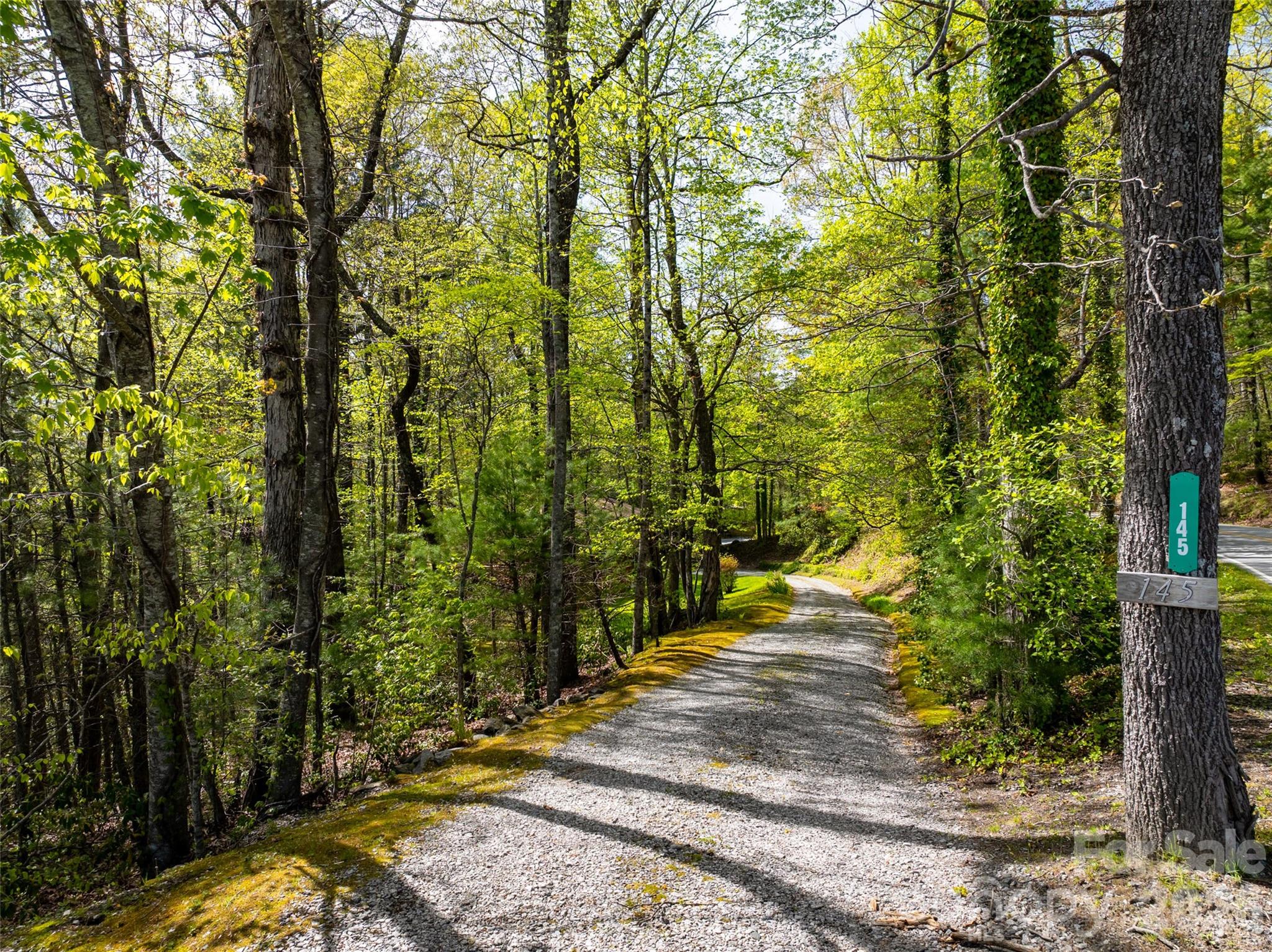 145 Jeter Mountain Road Hendersonville, NC 28739 - Photo 4 of 13 a view of a pathway of a park
