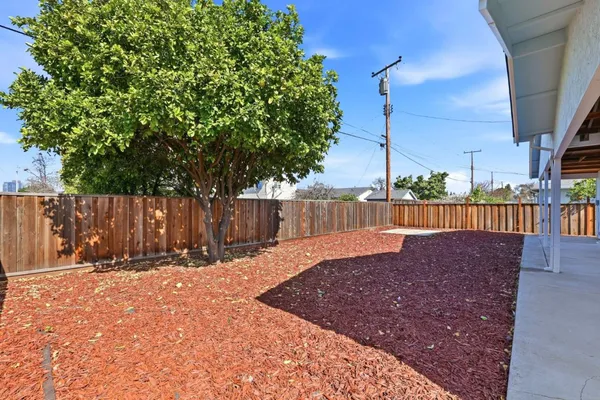 a view of a backyard