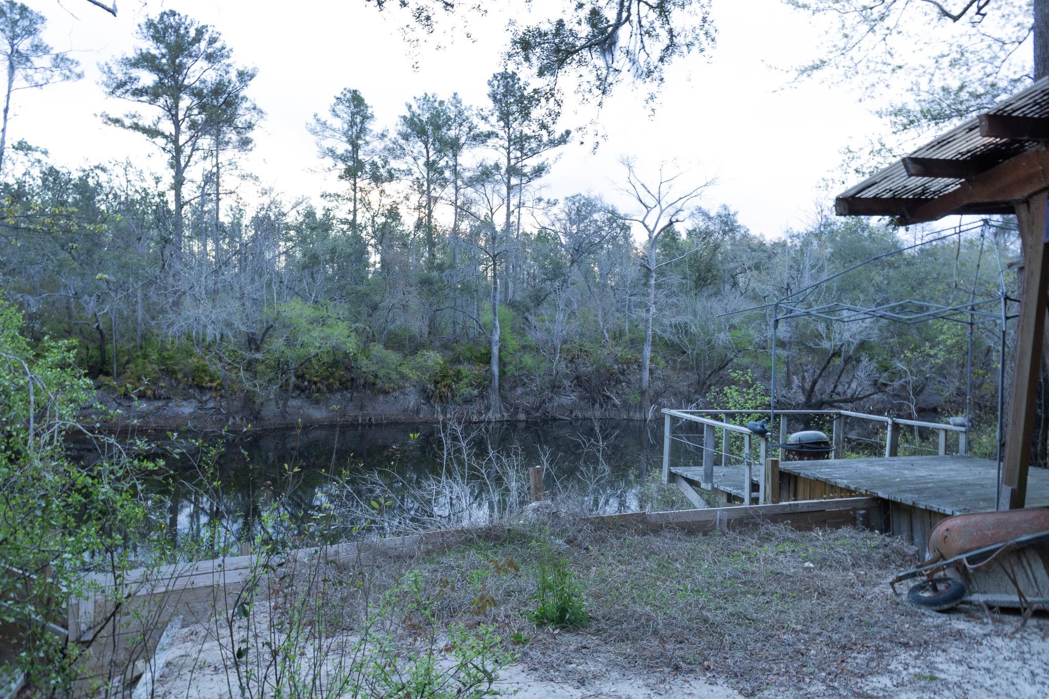 245 Northeast East Peppermint Trail Pinetta, FL 32350 - Photo 15 of 32