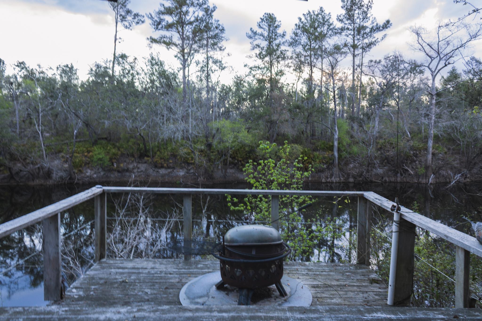 245 Northeast East Peppermint Trail Pinetta, FL 32350 - Photo 16 of 32