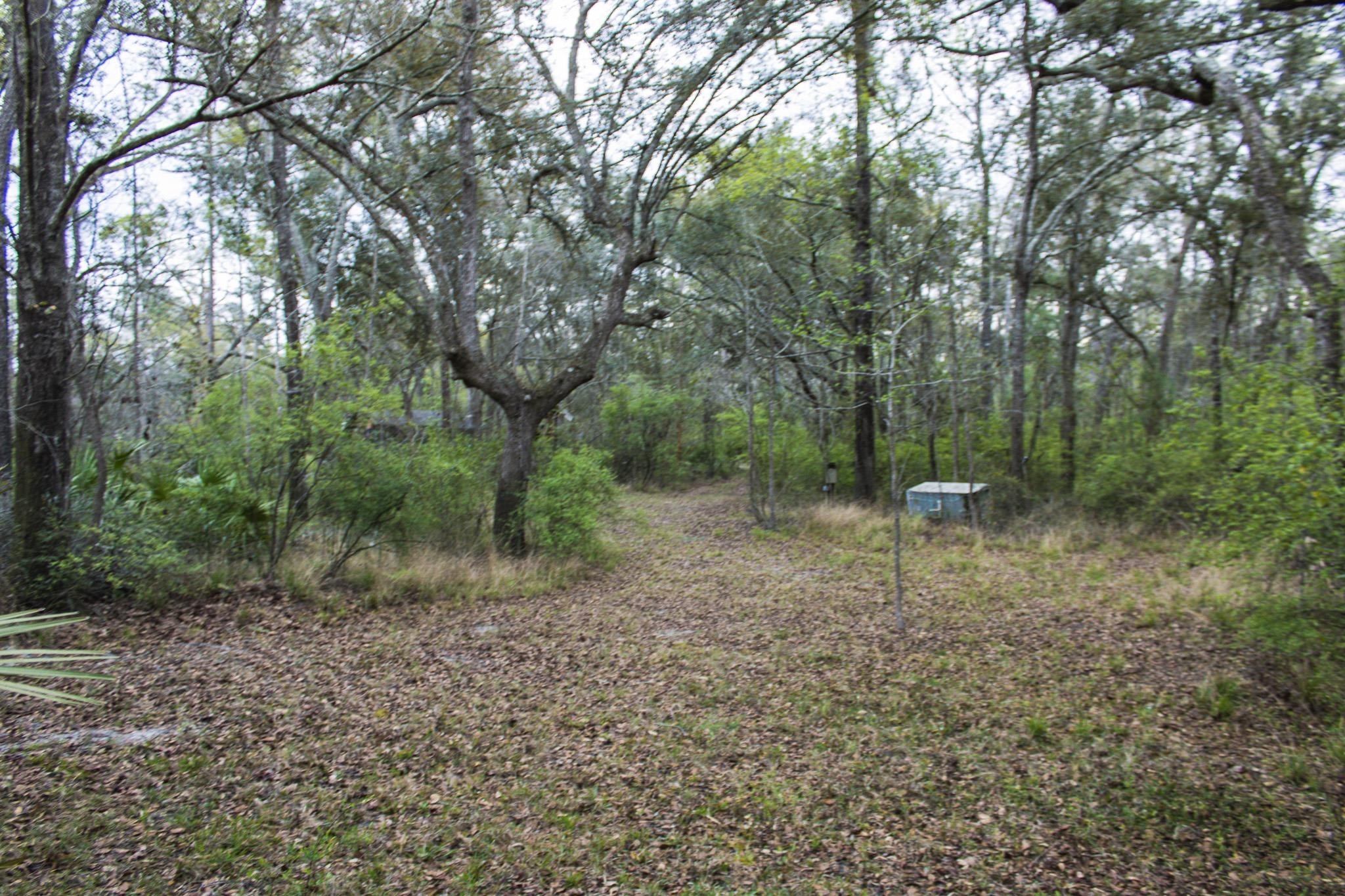 245 Northeast East Peppermint Trail Pinetta, FL 32350 - Photo 30 of 32