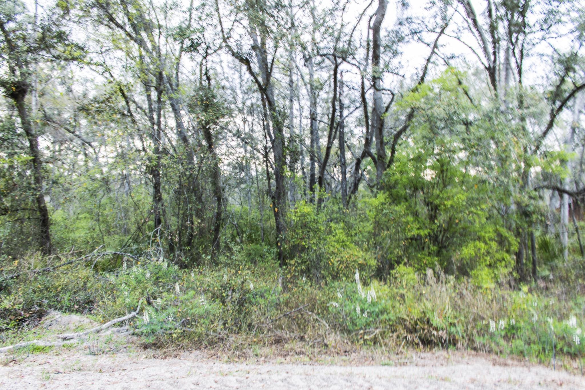 245 Northeast East Peppermint Trail Pinetta, FL 32350 - Photo 31 of 32