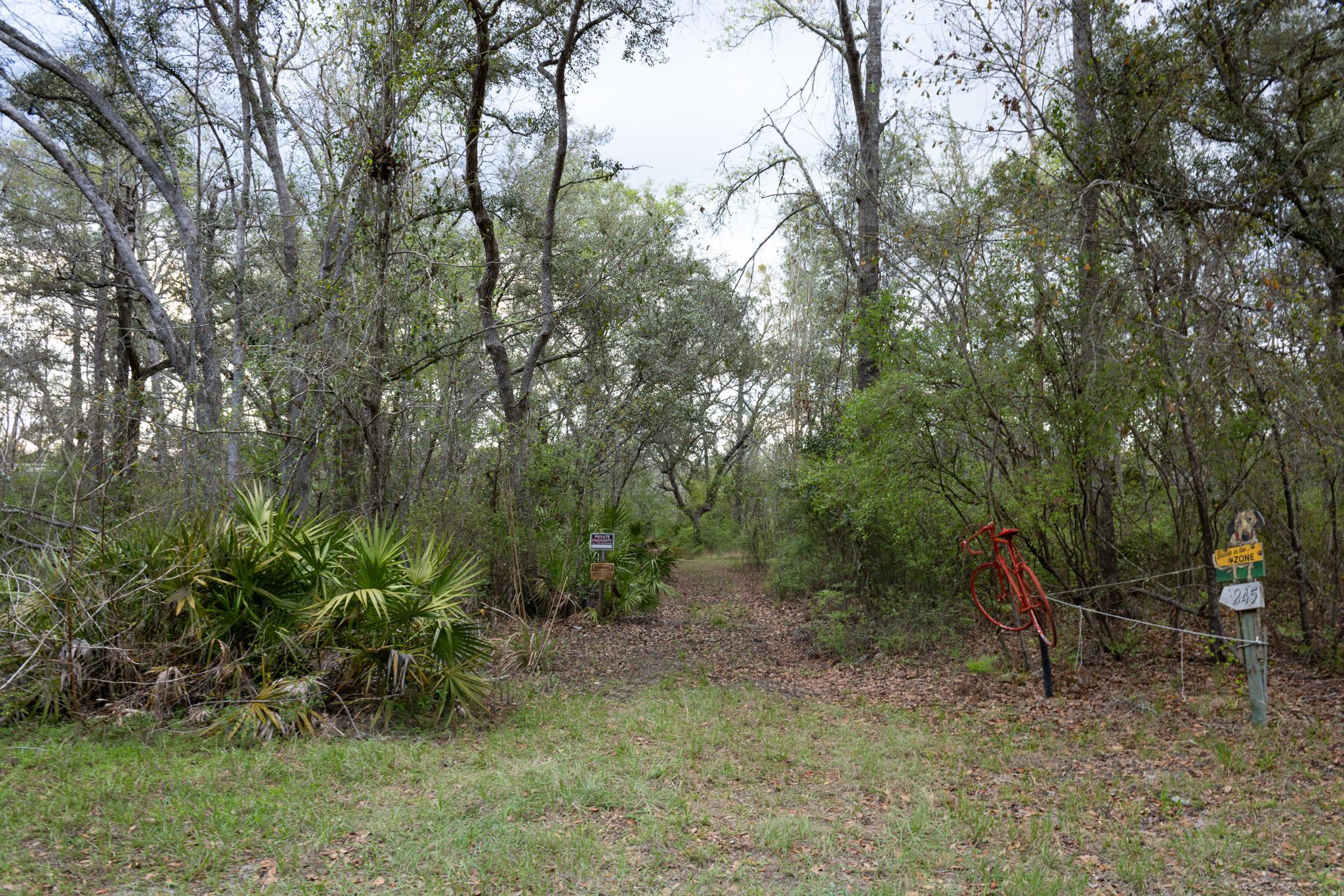 245 Northeast East Peppermint Trail Pinetta, FL 32350 - Photo 4 of 32