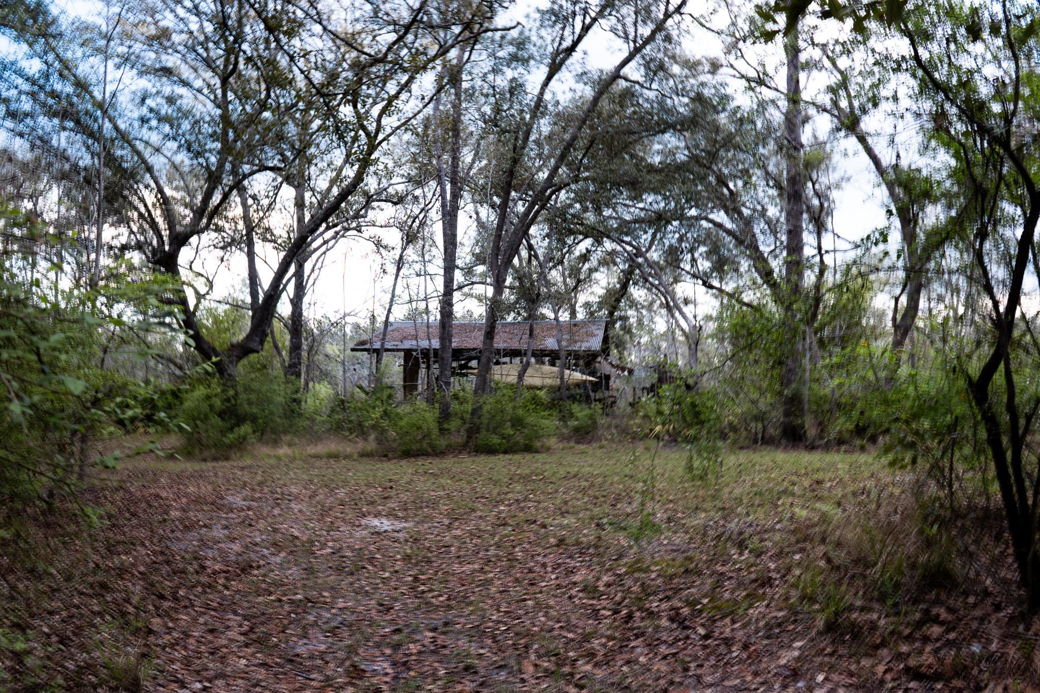 245 Northeast East Peppermint Trail Pinetta, FL 32350 - Photo 6 of 32