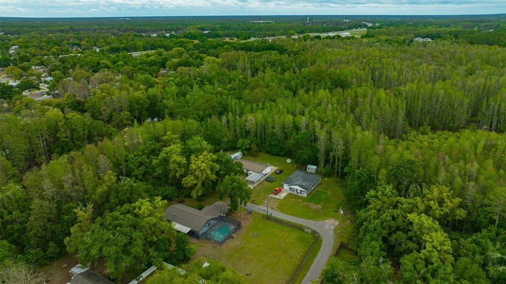 407 1st Avenue Northeast Lutz, FL 33549 - Photo 47 of 53