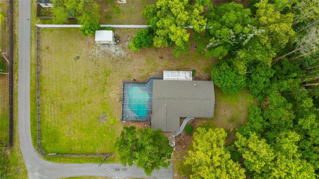 407 1st Avenue Northeast Lutz, FL 33549 - Photo 50 of 53