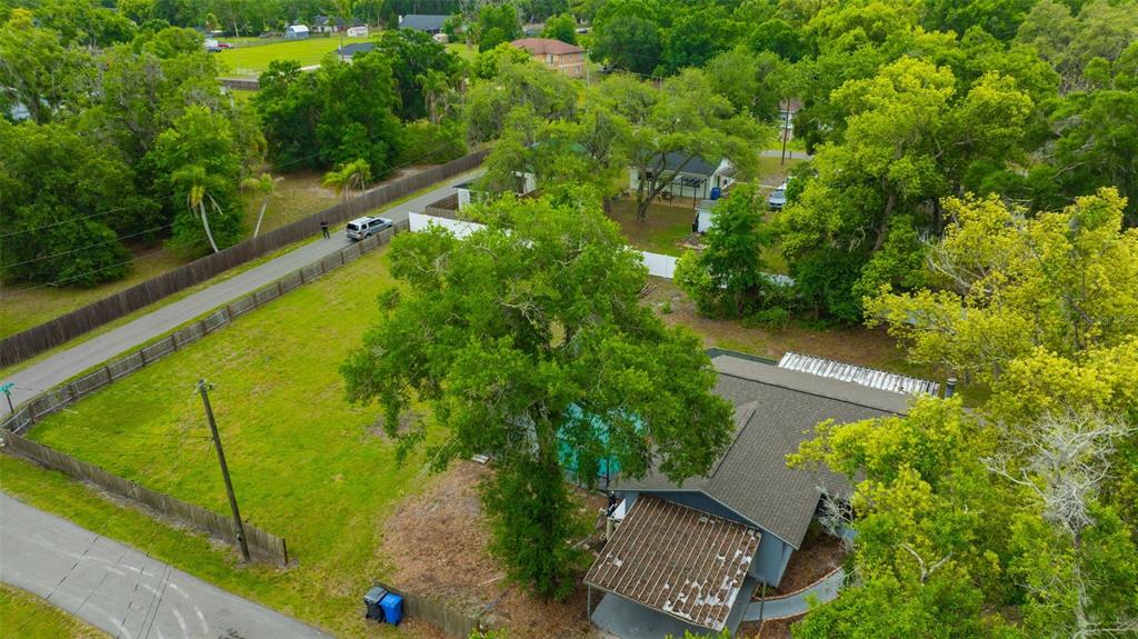 407 1st Avenue Northeast Lutz, FL 33549 - Photo 51 of 53