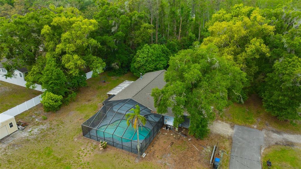 407 1st Avenue Northeast Lutz, FL 33549 - Photo 52 of 53