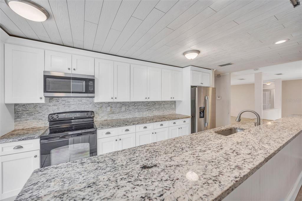 407 1st Avenue Northeast Lutz, FL 33549 - Photo 9 of 53