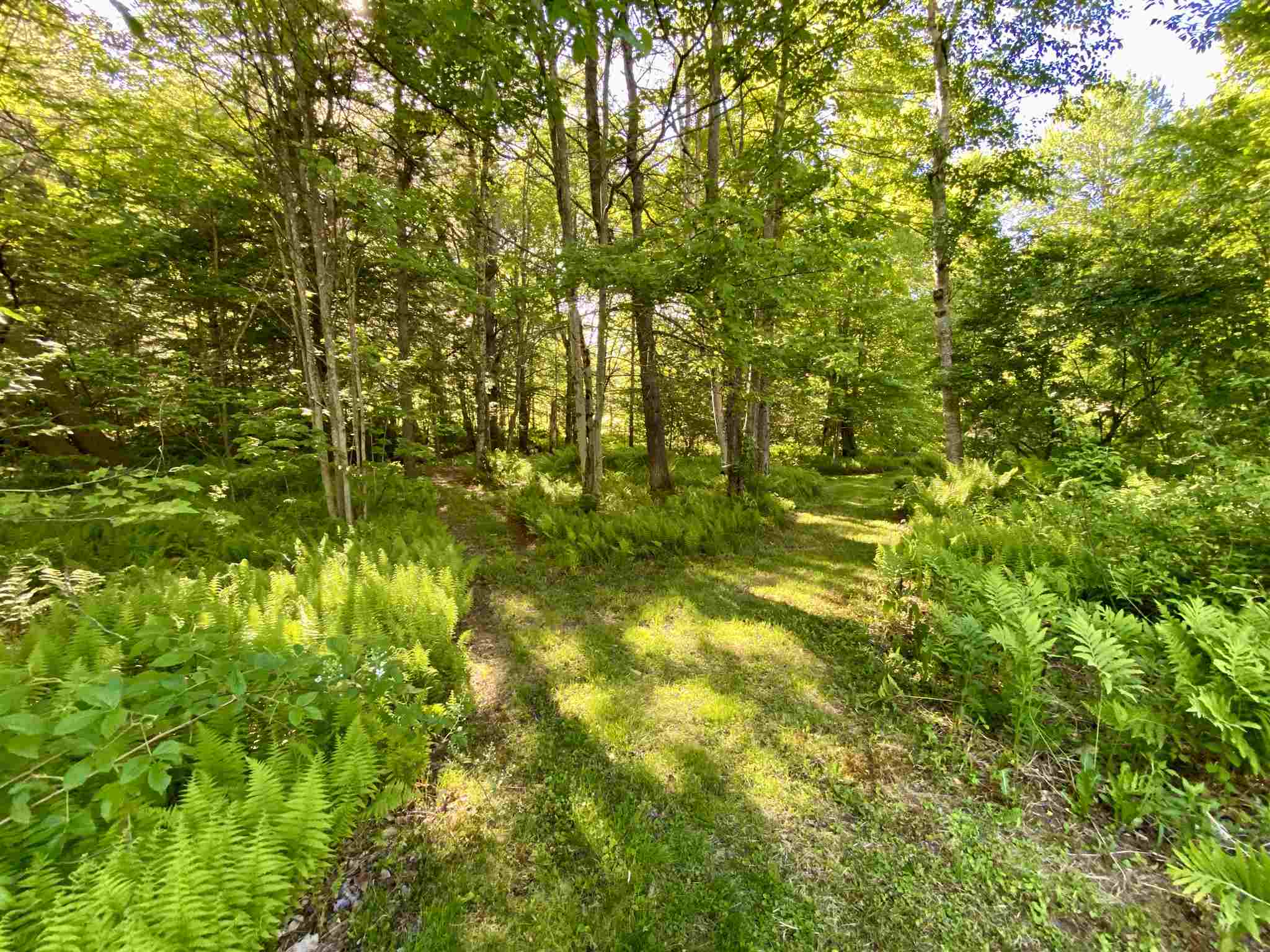 217 Cutts Road Newport, NH 03773 - Photo 18 of 18