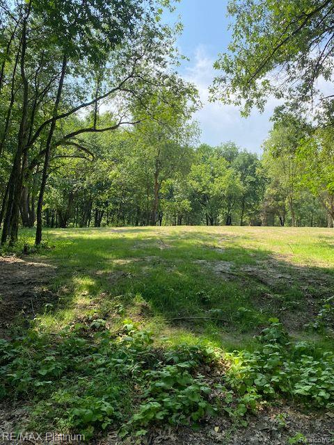 7 Sleaford-parcel 7 - 2 Acres Road Howell, MI 48843 - Photo 28 of 45