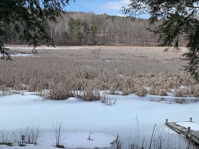 222 Fishing Access Road Sudbury, VT 05733 - Photo 3 of 24