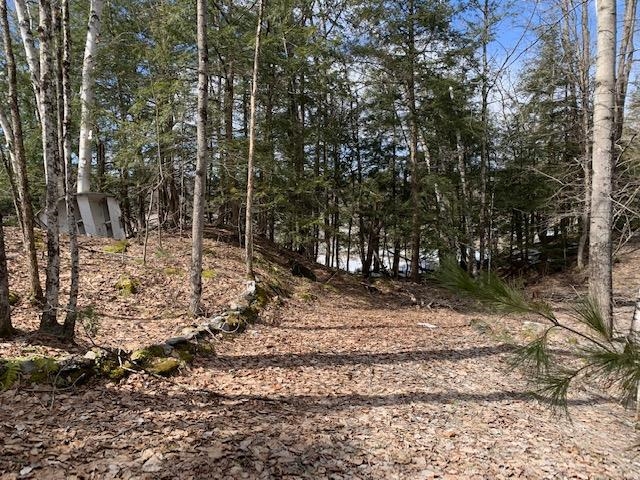 222 Fishing Access Road Sudbury, VT 05733 - Photo 8 of 24