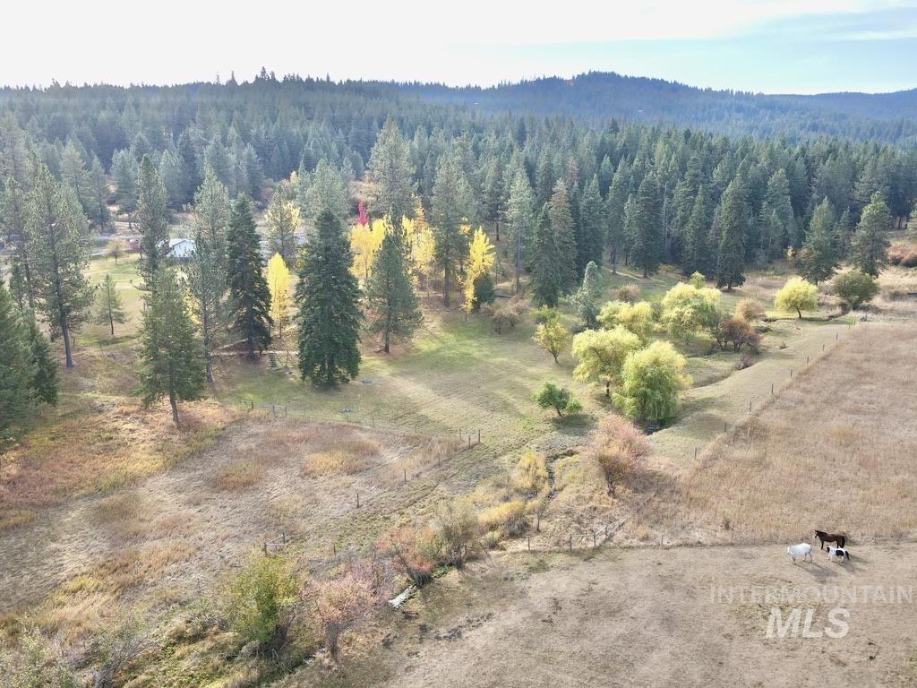 79 Mill Loop Road Grangeville, ID 83530 - Photo 13 of 42