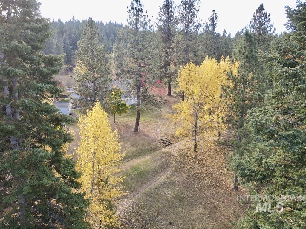 79 Mill Loop Road Grangeville, ID 83530 - Photo 16 of 42