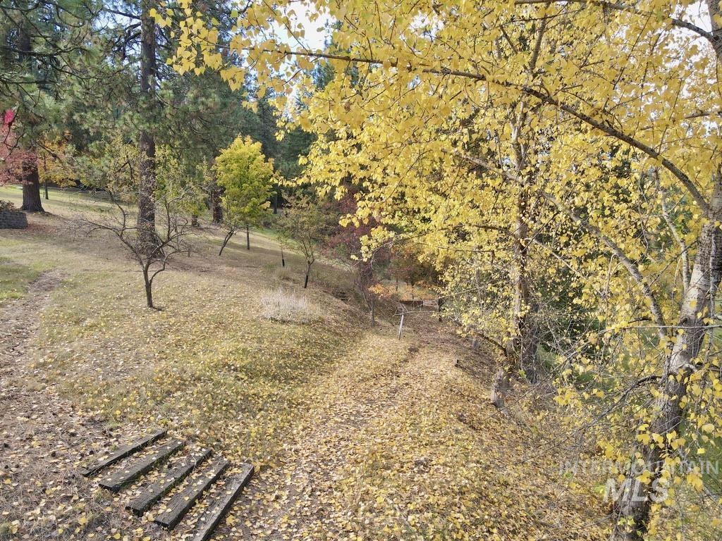 79 Mill Loop Road Grangeville, ID 83530 - Photo 18 of 42