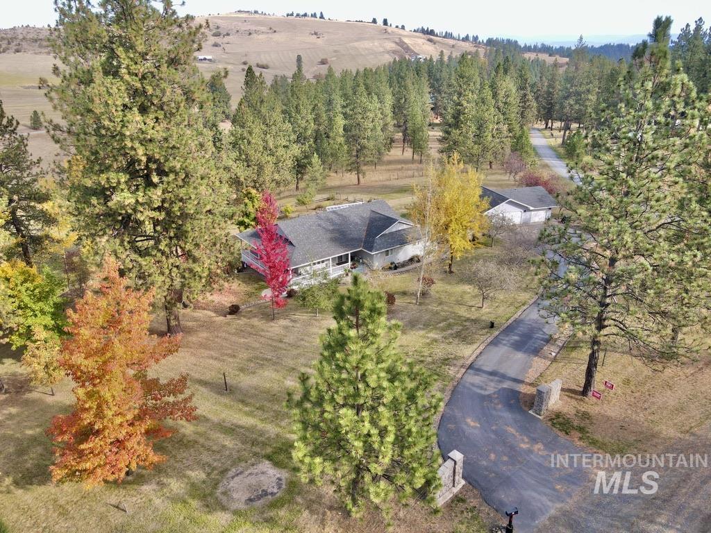 79 Mill Loop Road Grangeville, ID 83530 - Photo 2 of 42