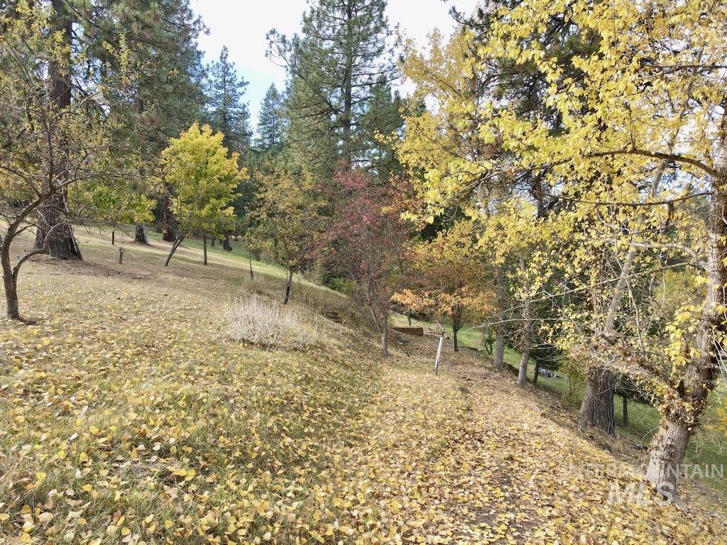 79 Mill Loop Road Grangeville, ID 83530 - Photo 21 of 42