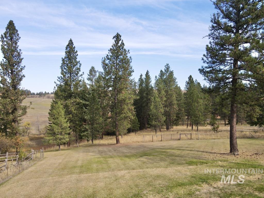 79 Mill Loop Road Grangeville, ID 83530 - Photo 24 of 42