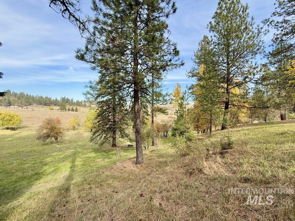 79 Mill Loop Road Grangeville, ID 83530 - Photo 30 of 42
