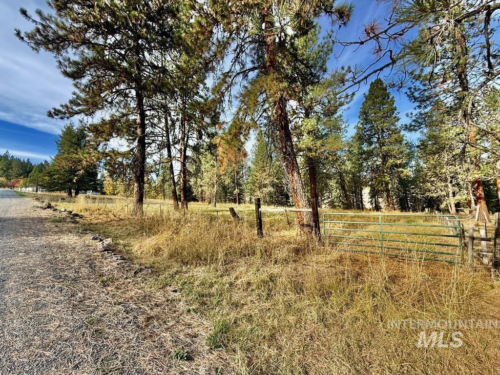 79 Mill Loop Road Grangeville, ID 83530 - Photo 3 of 42