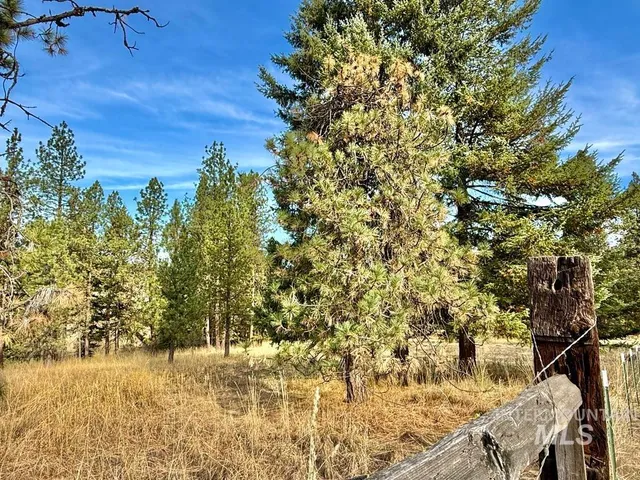 $640,000 | 79 Mill Loop Road, Grangeville, ID 83530