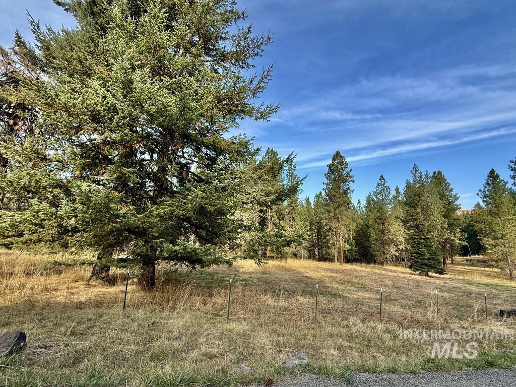 79 Mill Loop Road Grangeville, ID 83530 - Photo 5 of 42