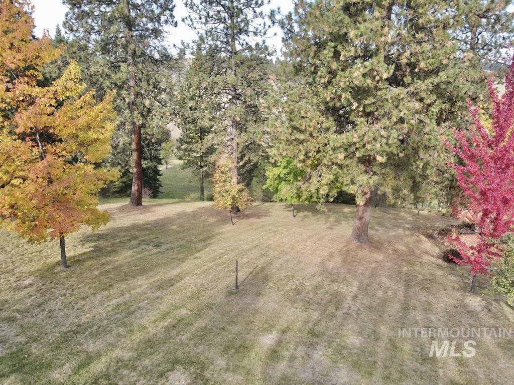 79 Mill Loop Road Grangeville, ID 83530 - Photo 6 of 42