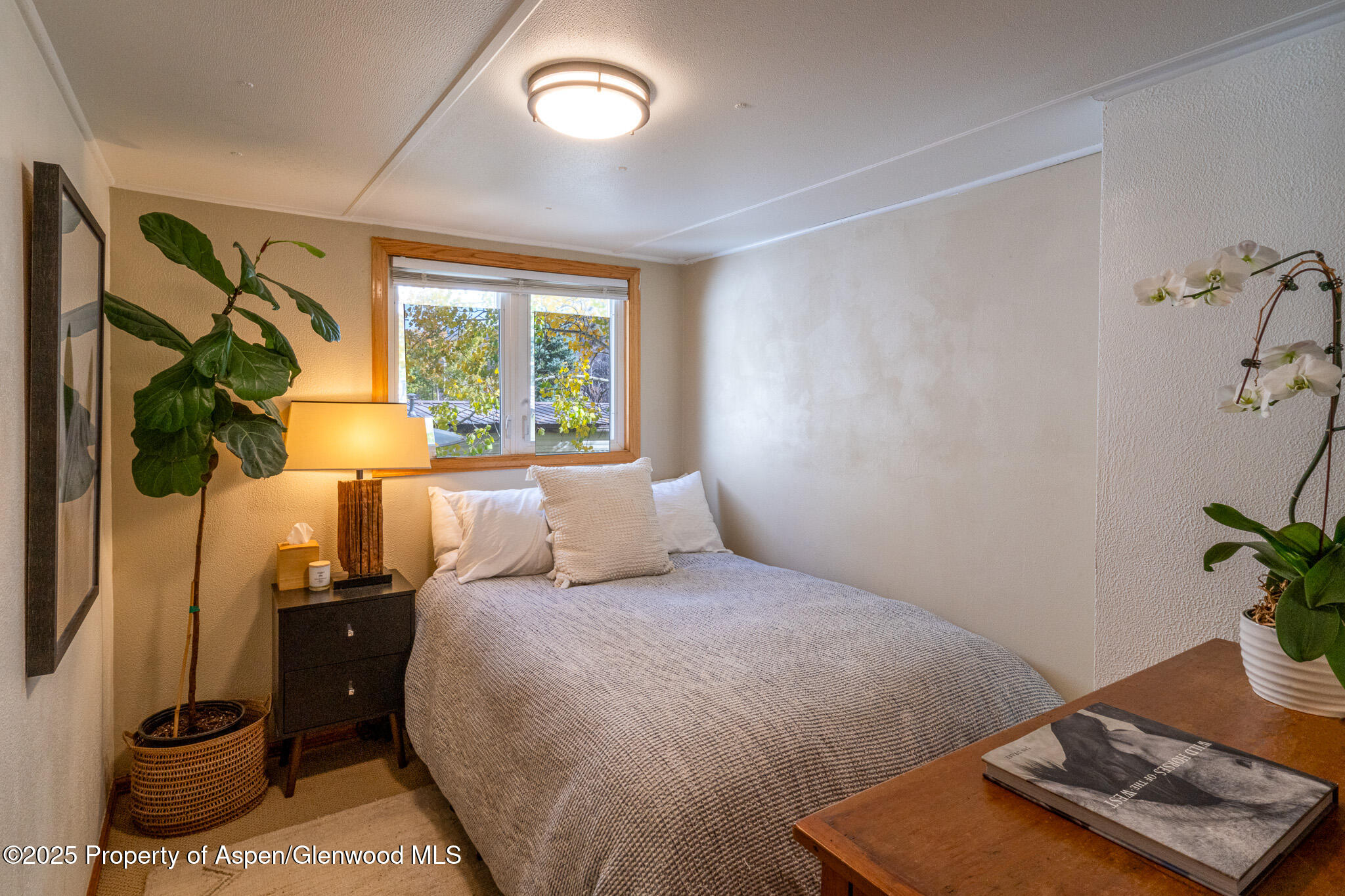 137 Ridge Trail Aspen, CO 81611 - Photo 15 of 32 DSC02690