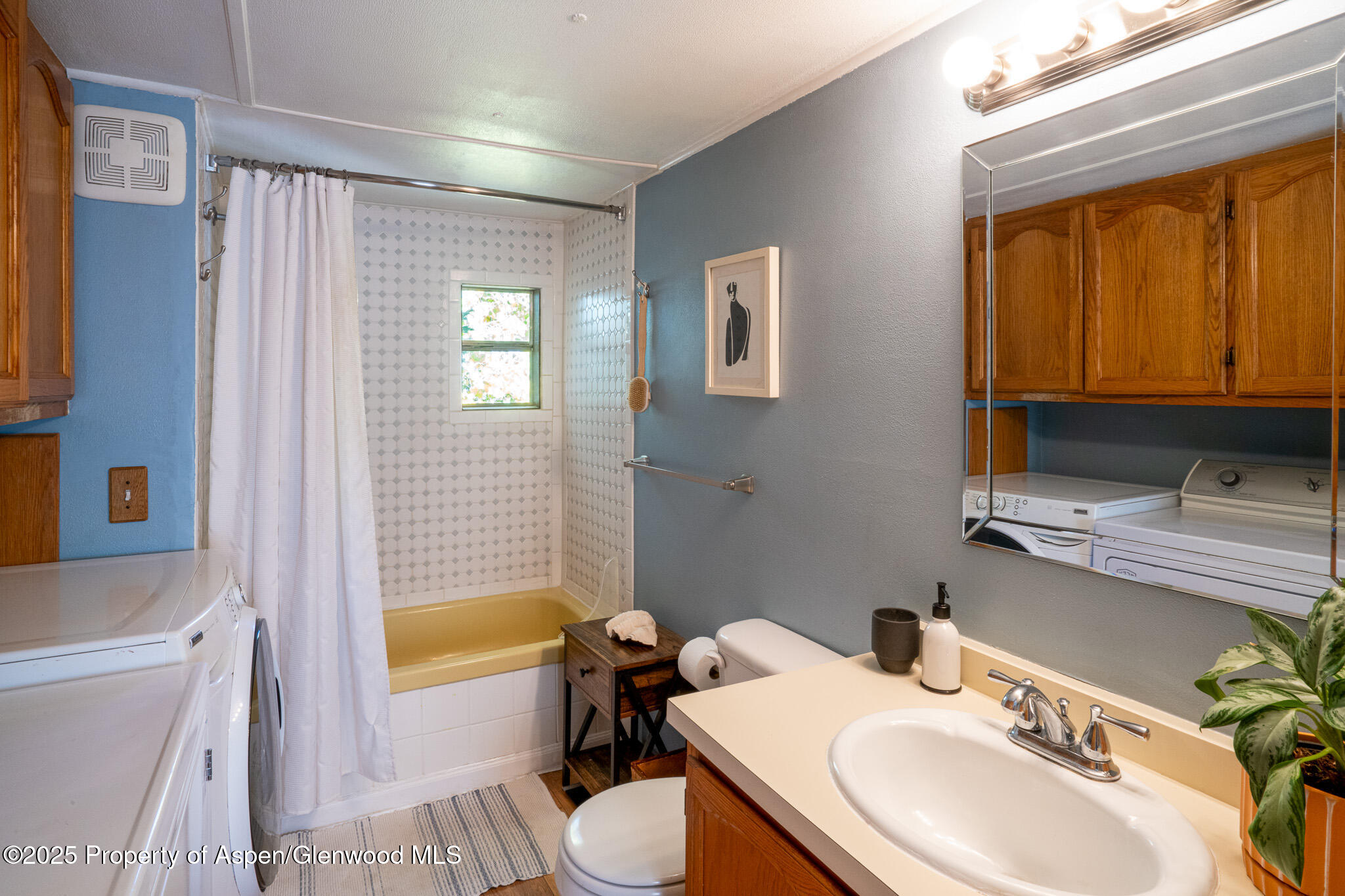 137 Ridge Trail Aspen, CO 81611 - Photo 16 of 32 DSC02693