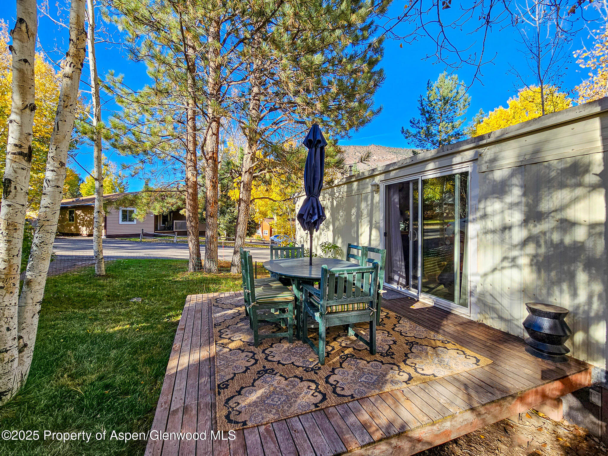 137 Ridge Trail Aspen, CO 81611 - Photo 25 of 32 20231018_161143