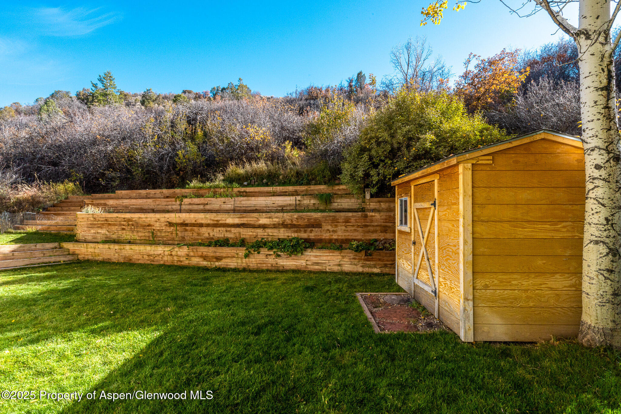 137 Ridge Trail Aspen, CO 81611 - Photo 26 of 29 a view of a backyard with mountain view