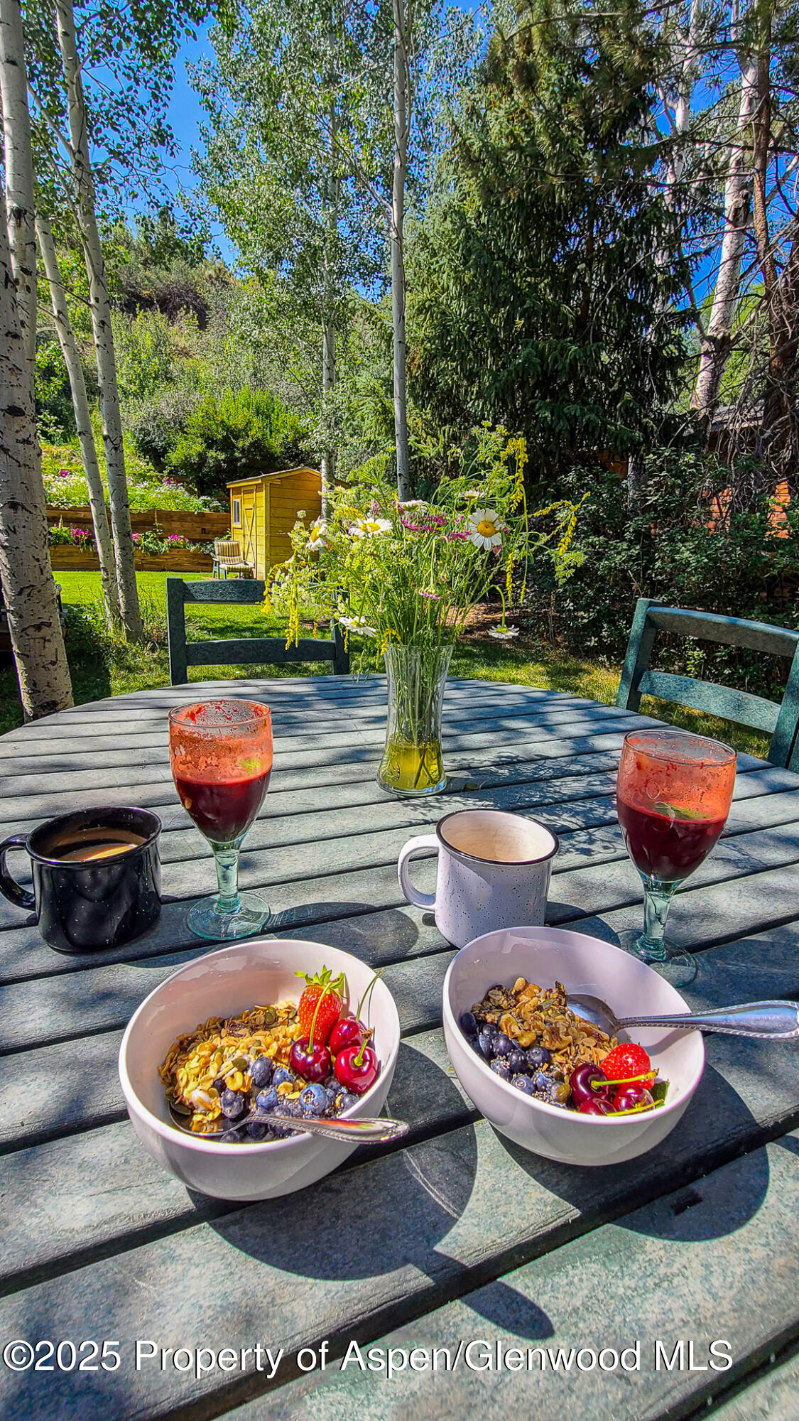 137 Ridge Trail Aspen, CO 81611 - Photo 5 of 29 20210719_105750