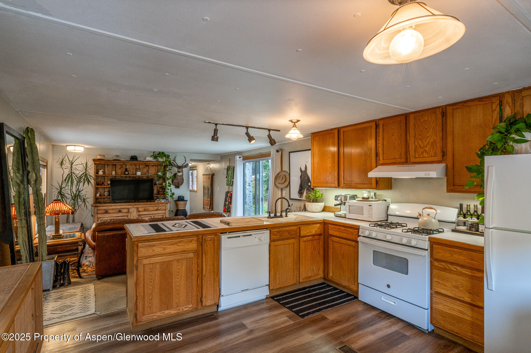 137 Ridge Trail Aspen, CO 81611 - Photo 9 of 32 DSC02624