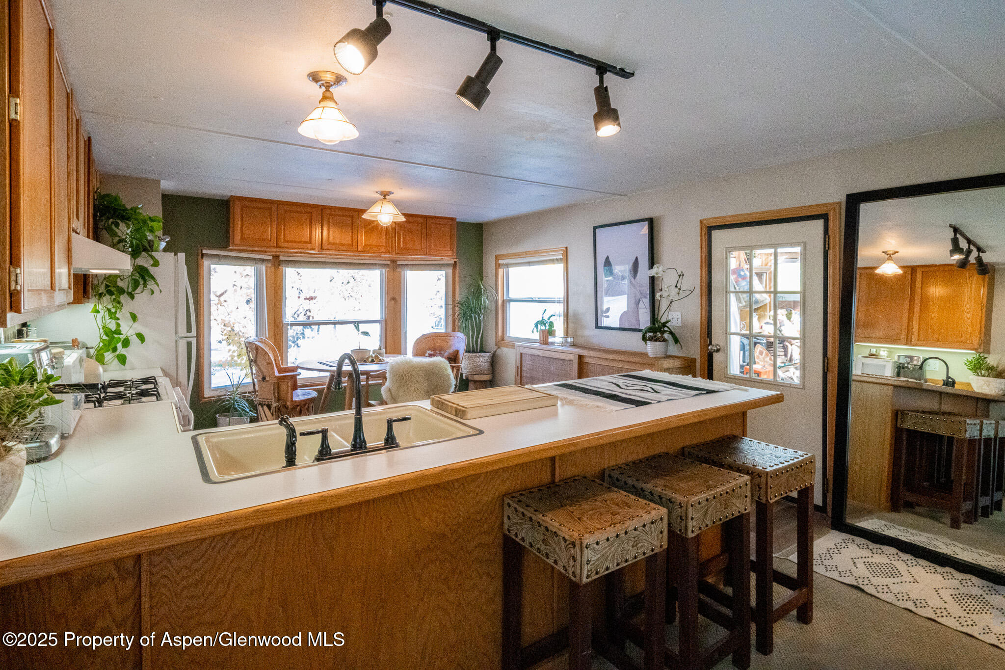 137 Ridge Trail Aspen, CO 81611 - Photo 10 of 32 DSC02682