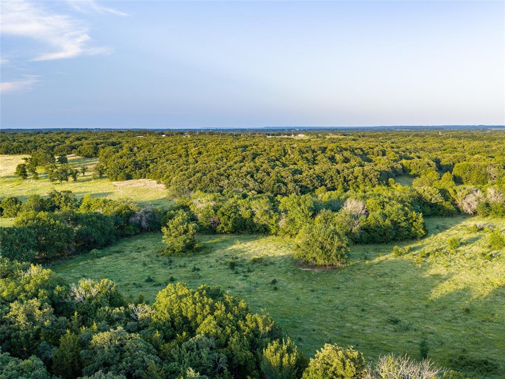 Tbd Carminati Road Montague, TX 76251 - Photo 5 of 32