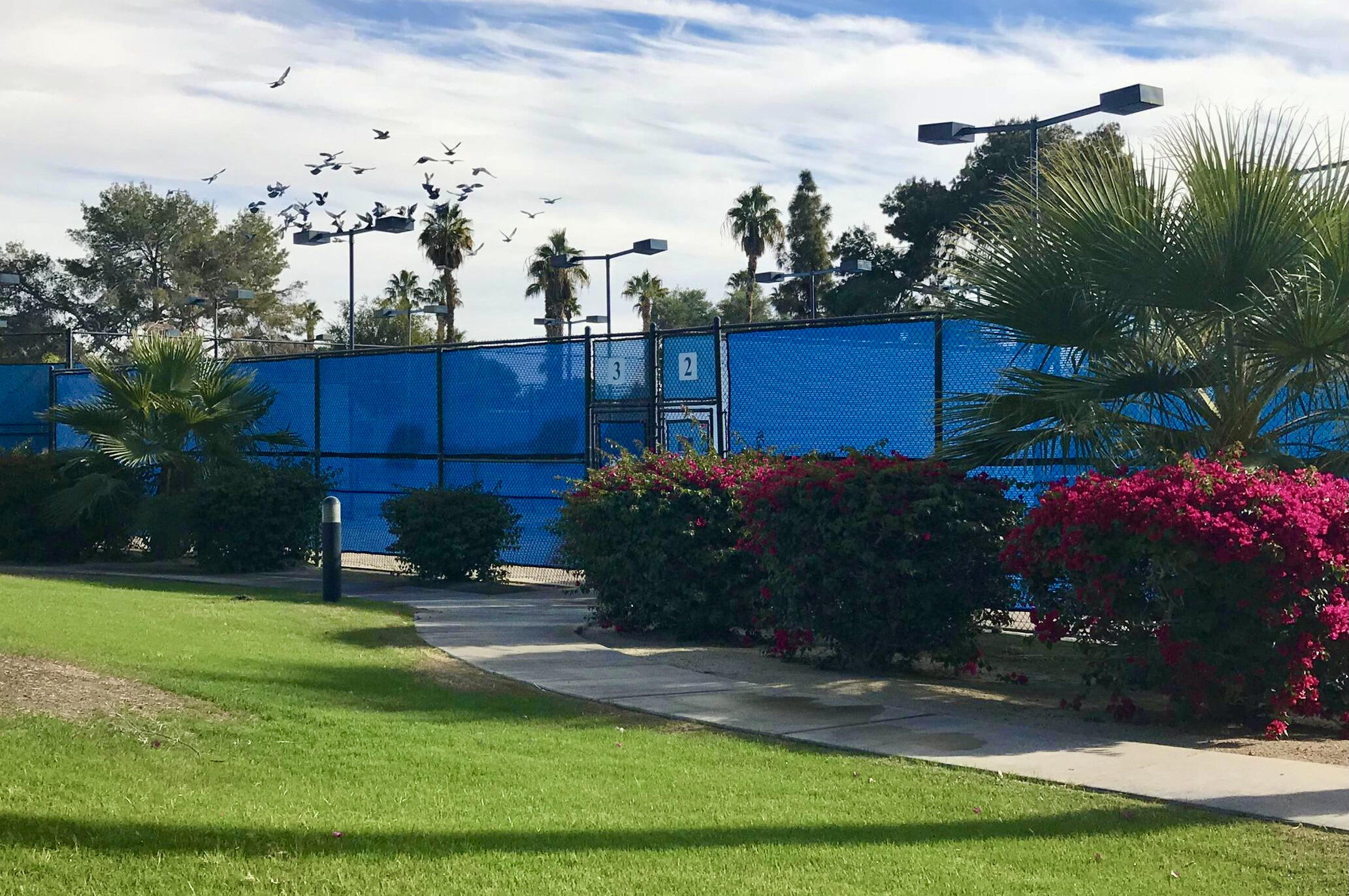 82567 Ave 48, Unit 12 Indio, CA 92201 - Photo 17 of 23