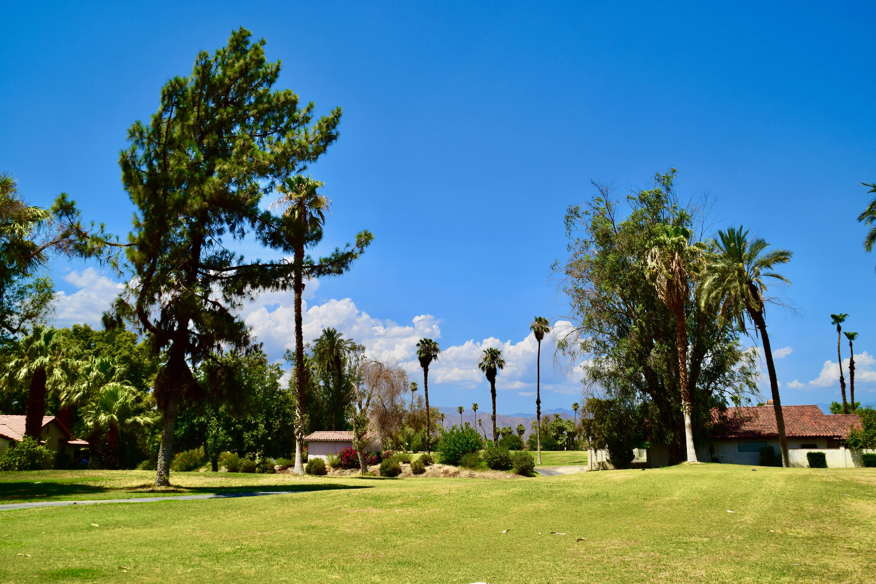 82567 Ave 48, Unit 12 Indio, CA 92201 - Photo 19 of 23 a garden with trees